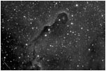 The Elephant Trunk Nebula