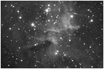 The Heart Nebula