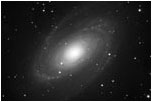M81
