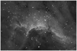 The Pelican Nebula