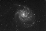 M101