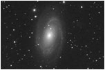 M81