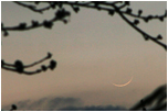 Moon and Mercury