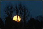 The SuperMoon