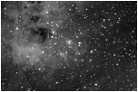 The Tadpole Nebula